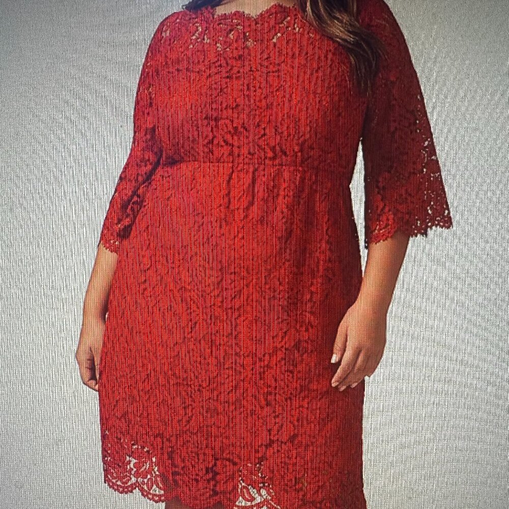 Lane Bryant Red Scallop Edge Fit & Flare Lined Lace Dress Size 18